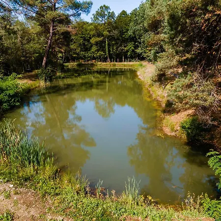 3 De L'oree Du Bois * Thenon