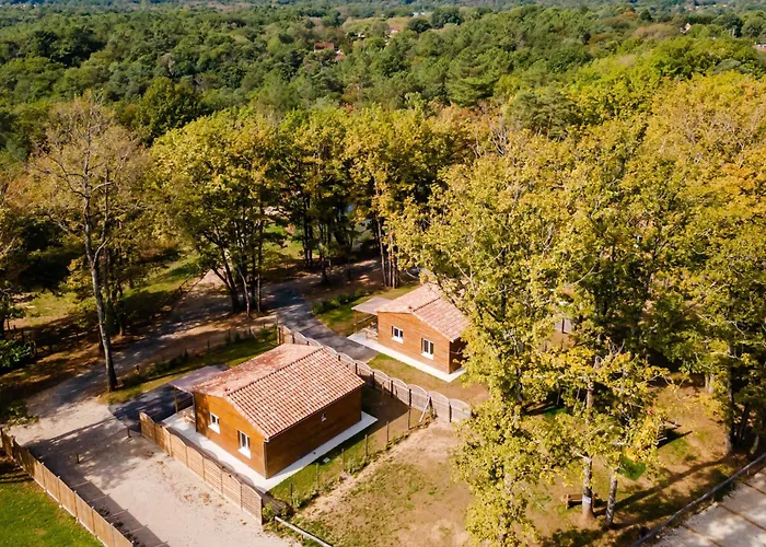 Vakantiehuis 3 De L'oree Du Bois *